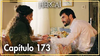 Hercai - Capítulo 173