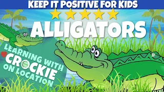 Learn about Alligators | Kids Nature | Keep it Positive for Kids