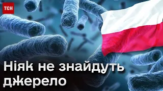 ❗ Поляків на кордоні з Україною косить "хвороба легіонерів". Жертв стає все більше