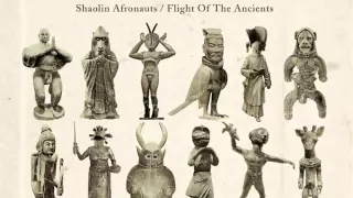 The Shaolin Afronauts - Shaolin Theme [Freestyle Records]