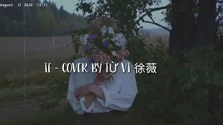 [lyrics] IF - Đinh Khả(丁可) |Cover by Từ Vi (徐薇)