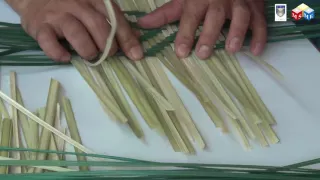 Bamboo Treatment (Weaving Technique)