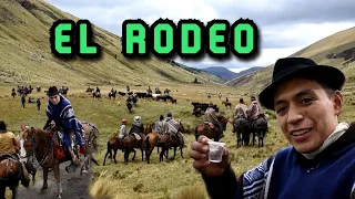 RODEO DE GANADO BRAVO | John Valverde