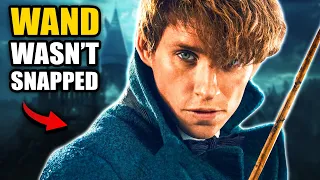 Why Newt Scamander KEPT HIS WAND after Being Expelled from Hogwarts - Harry Potter Theory