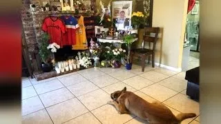 The Heartbreaking Way This Dog Is Grieving His Owner's Death