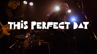 Ed Kuepper & The Aints! This Perfect Day (live).