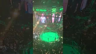2nd time seeing Alex Pereira in MSG UFC 295