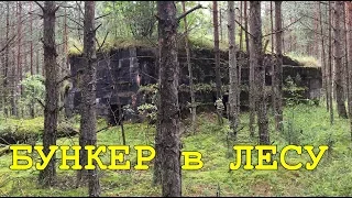 Digging of World War WW1. Bunker in the forest and defense of the "dead" city. The film 56.