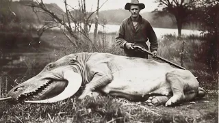 100 Last Known Photos of Animals That Went Extinct