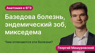 6.93. Заболевания щитовидной железы | Анатомия к ЕГЭ | Георгий Мишуровский