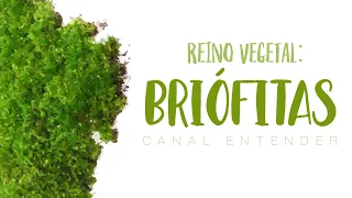 BRIÓFITAS - Reino Vegetal