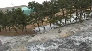 再up 東日本大震災 おいらせ 大津波 Tsunami  Earthquake