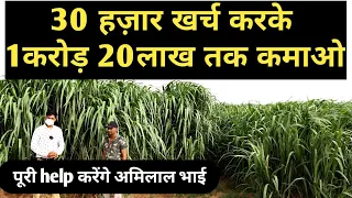 अब तक आपने ऐसी वीडियो नहीं देखी होगी । dairy farming green grass business । New business idea