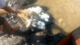 EL GUAYABERO ENLOQUECIDO ( UNA SUBIENDA INCREIBLE )