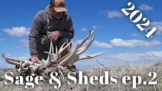 Sage & Sheds Ep. 2