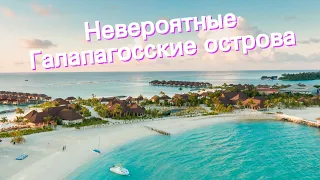 Невероятные Галапагосские острова