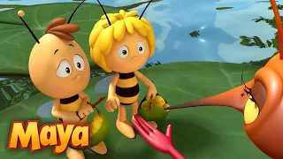 La Abeja Maya 🐝  Con la primavera también llegan... ¡LOS MOSQUITOS!