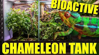 How to setup a BIOACTIVE CHAMELEON ENCLOSURE!!