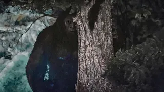 Bigfoot Encounters That Will Leave You Shaken