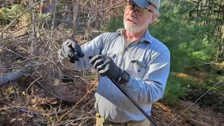 White Pine Weevil Spraying - 2024 Equipment Tweaks for Tall Trees
