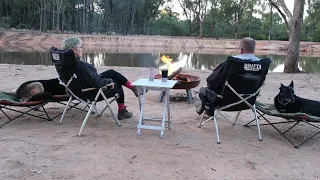 Ep 31 - Camping in the Australian bush with our two dogs.