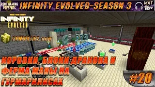 LP ► Minecraft ► Infinity Evolved [S3] E20 - Коровки, блоки дракона и ферма маны на гурмарилисах