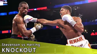 Shakur Stevenson vs Jamel Herring - Full Fight Highlights