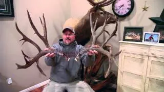 MONSTER 304" Mule Deer from the Antlerman