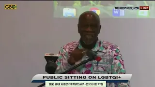 Lawyer Akoto Ampaw makes his case for the LGBTQ community infront of the public committee