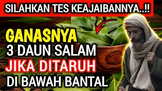 DAUN AJAIB❗Taruh 3 Lembar Kalau Berani..!! Keajaiban Meletakan Daun Salam Di Bawah Bantal