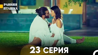 Ранняя Пташка 23 серия