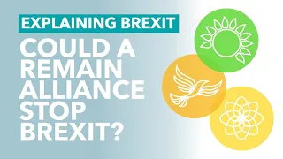 Can the Unite to Remain Alliance Stop Brexit? - Brexit Explained