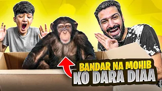 Mohib Bandar (Monkey) Sy Dar Gaya