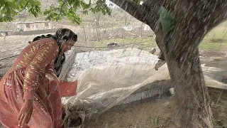 Unexpected Downpour While Building Her Platform in the Heat