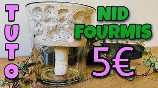 Fabrication d’un Nid de Fourmis pour 5€