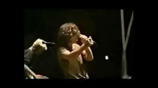 Pearl Jam - We Love Jack Irons Song