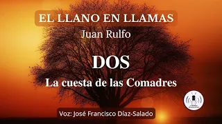 CAP. 2 - LA CUESTA DE LAS COMADRES - EL LLANO EN LLAMAS | Audiolibro - La Voz Silenciosa