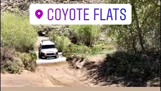 Coyote Flats | Log 103