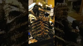 LIFE SIZE XENO SCULPTURE #alien #alienvspredator #xenomorph #romulus #shorts #short #shortvideo