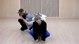 [TXT - Cat & Dog] dance practice mirrored