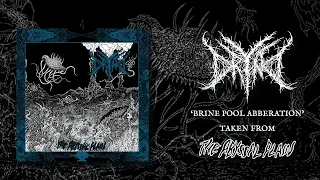 DRYAD - 'BRINE POOL ABERRATION' - OFFICIAL AUDIO