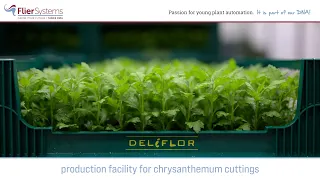 Customer case | Deliflor Hoogveld