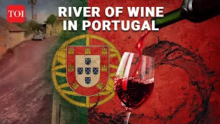 Red Wine River: Two million ltr (600K gallons) of red wine flood streets of Portuguese Village