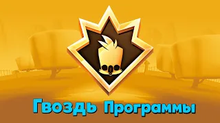 ГВОЗДЬ ПРОГРАММЫ – ПЕРВОБЫТНЫЙ ИНСТИНКТ НА ПОПУГАЯ ЯРУ! Zooba