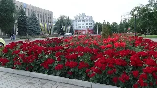 Bahmut is a city of roses.