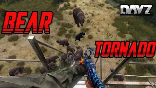 Dayz SA : Bear Tornado