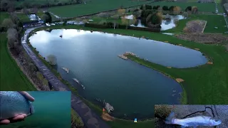 Trout Fly Fishing at Ellerdine Lakes Fishery | Fly fishing videos | Trout Fishing