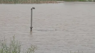 Dam in Rockwall County shifts as it works to contain water