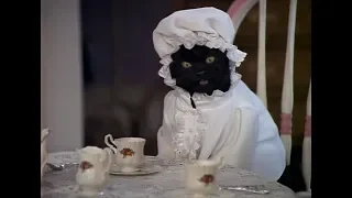 Cat Salem-the best moments | Sabrina the little witch