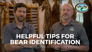 Helpful Tips for Bear Identification